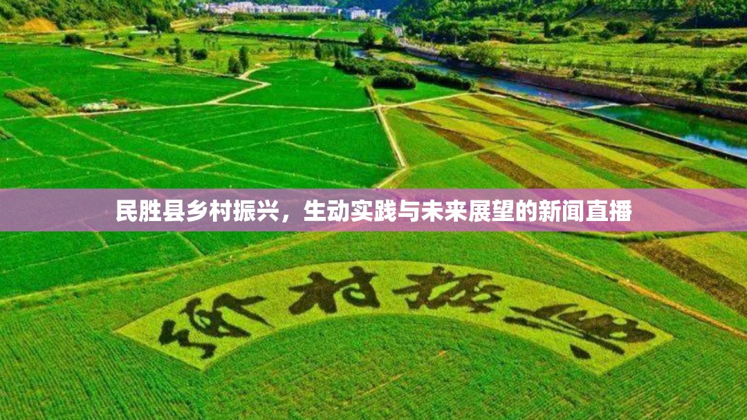 民勝縣鄉(xiāng)村振興，生動(dòng)實(shí)踐與未來展望的新聞直播