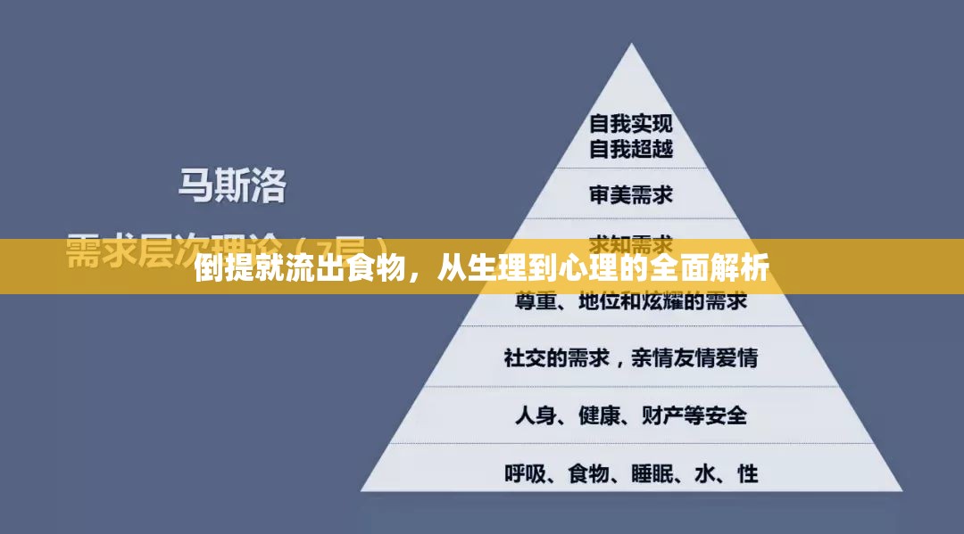 倒提就流出食物，從生理到心理的全面解析