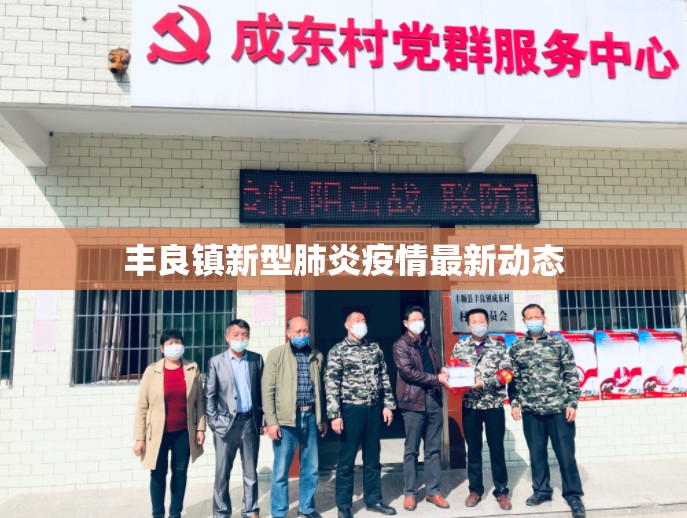 豐良鎮(zhèn)新型肺炎疫情最新動態(tài)
