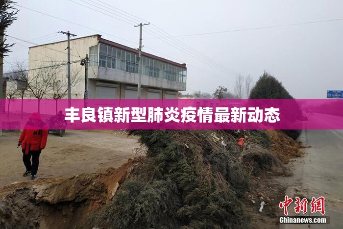 豐良鎮(zhèn)新型肺炎疫情最新動態(tài)
