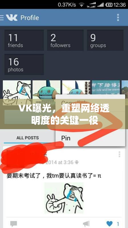 VK曝光，重塑網(wǎng)絡(luò)透明度的關(guān)鍵一役