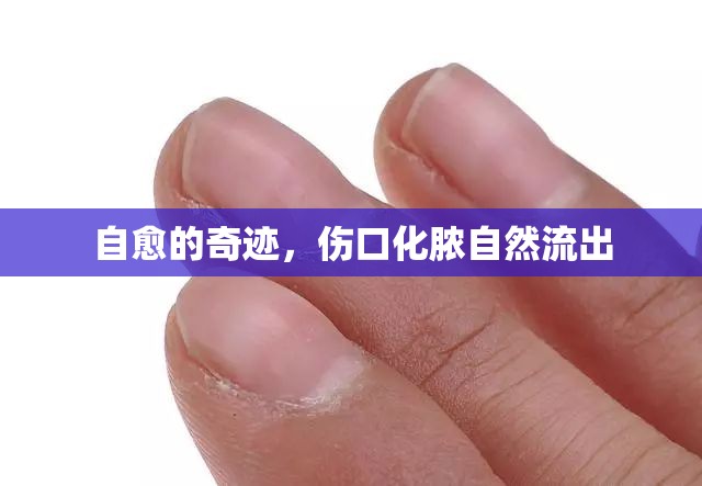 自愈的奇跡，傷口化膿自然流出