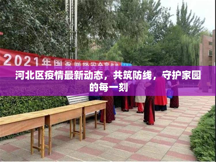 河北區(qū)疫情最新動態(tài)，共筑防線，守護家園的每一刻