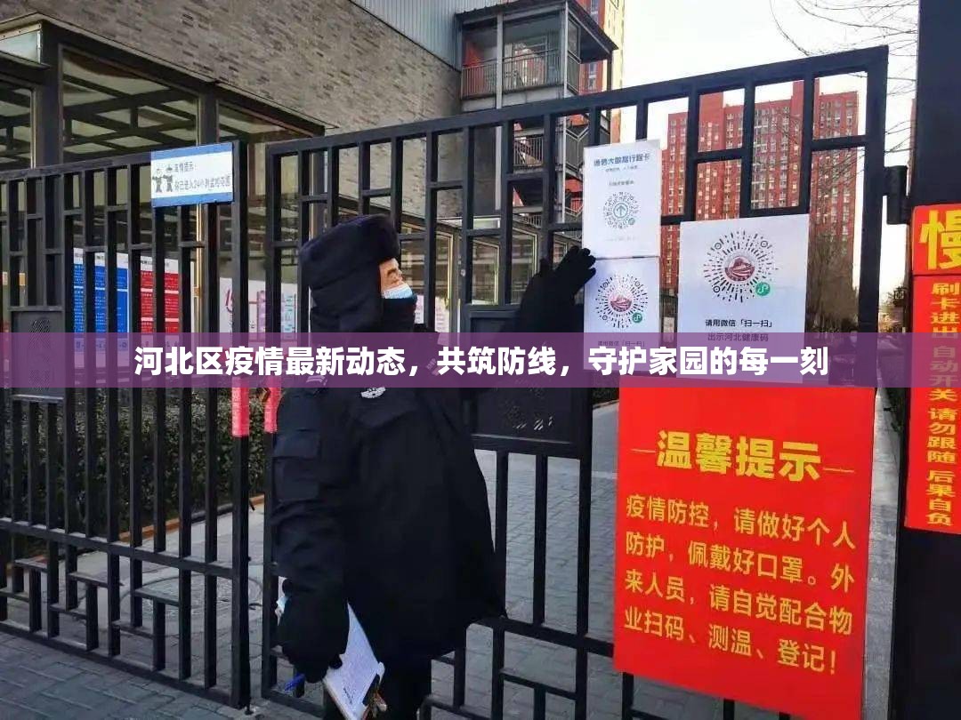 河北區(qū)疫情最新動態(tài)，共筑防線，守護家園的每一刻