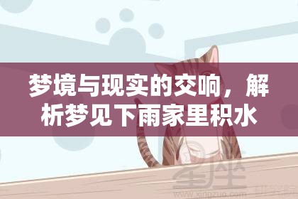 夢境與現(xiàn)實(shí)的交響，解析夢見下雨家里積水流出的深層含義