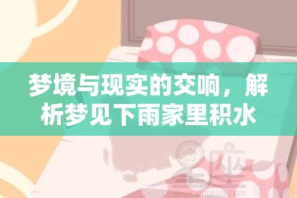 夢境與現(xiàn)實(shí)的交響，解析夢見下雨家里積水流出的深層含義