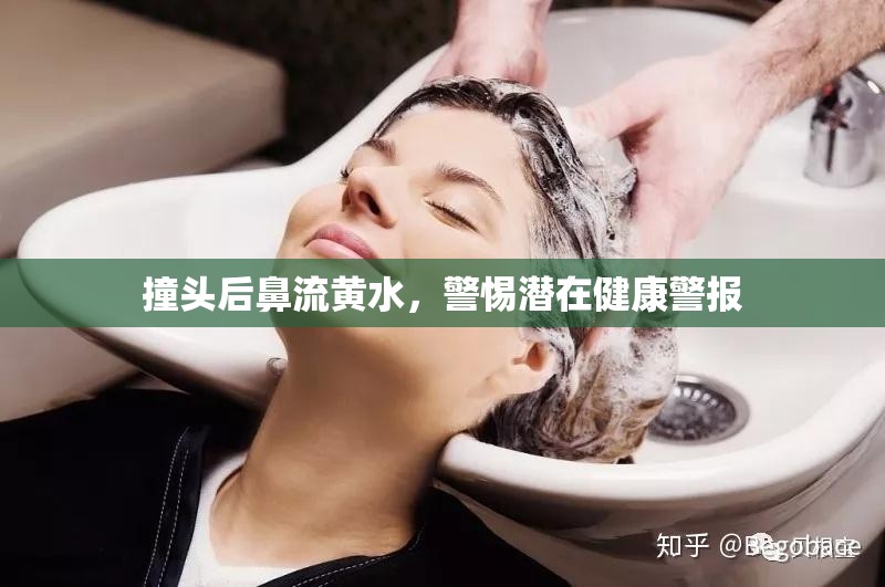 撞頭后鼻流黃水，警惕潛在健康警報