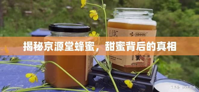 揭秘京源堂蜂蜜，甜蜜背后的真相