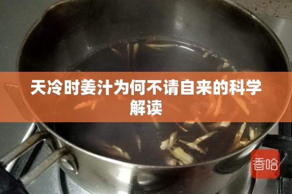 天冷時姜汁為何不請自來的科學解讀