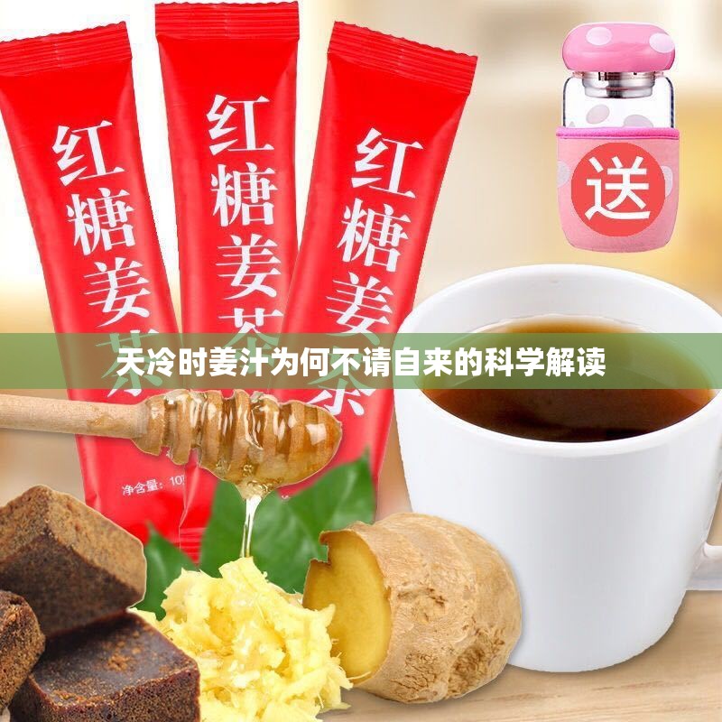 天冷時姜汁為何不請自來的科學解讀