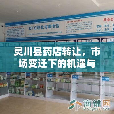 靈川縣藥店轉(zhuǎn)讓，市場變遷下的機遇與挑戰(zhàn)