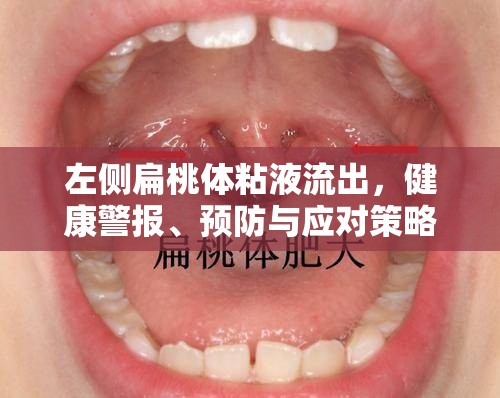 左側(cè)扁桃體粘液流出，健康警報(bào)、預(yù)防與應(yīng)對(duì)策略