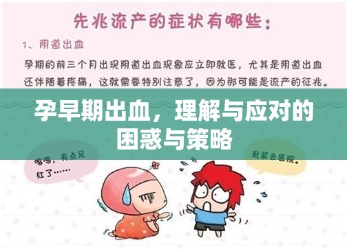 孕早期出血，理解與應(yīng)對的困惑與策略