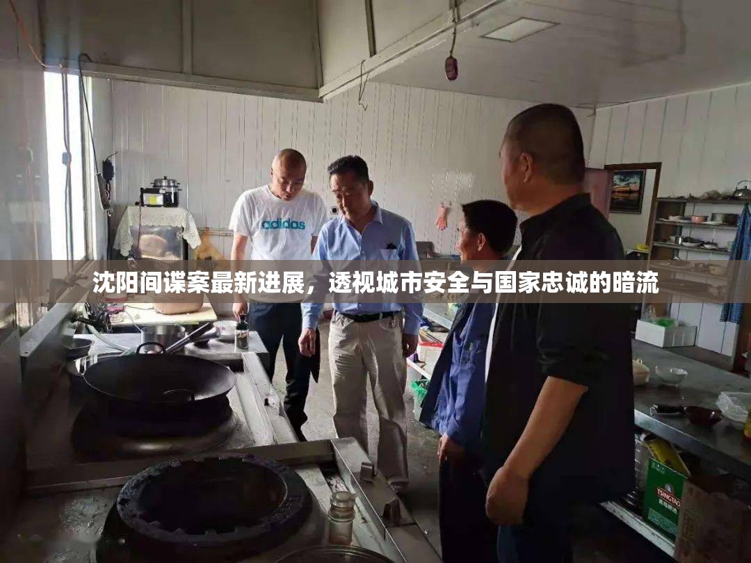 沈陽間諜案最新進(jìn)展，透視城市安全與國家忠誠的暗流