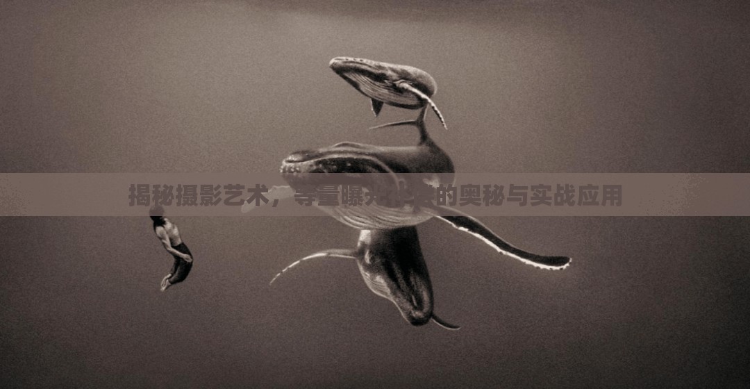 揭秘?cái)z影藝術(shù)，等量曝光補(bǔ)償?shù)膴W秘與實(shí)戰(zhàn)應(yīng)用