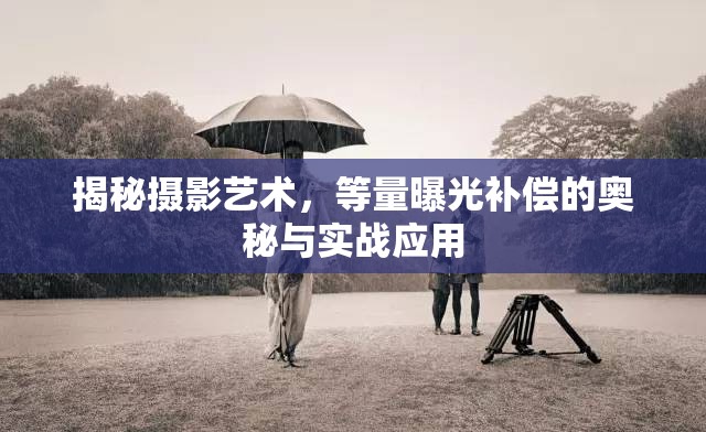 揭秘?cái)z影藝術(shù)，等量曝光補(bǔ)償?shù)膴W秘與實(shí)戰(zhàn)應(yīng)用