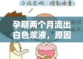 孕期兩個月流出白色漿液，原因及應(yīng)對措施