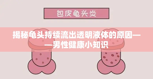揭秘龜頭持續(xù)流出透明液體的原因——男性健康小知識(shí)