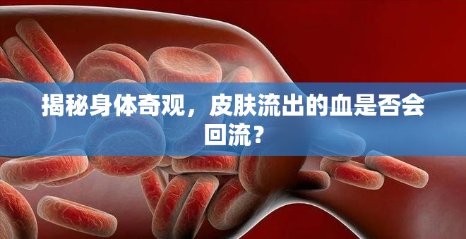 揭秘身體奇觀，皮膚流出的血是否會回流？