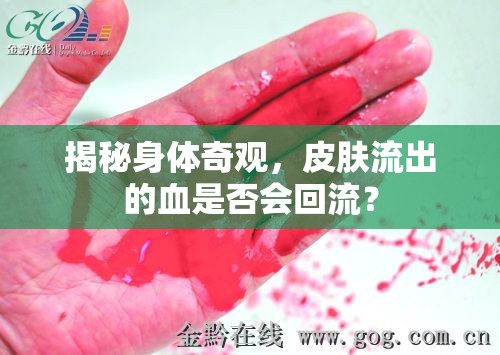 揭秘身體奇觀，皮膚流出的血是否會回流？