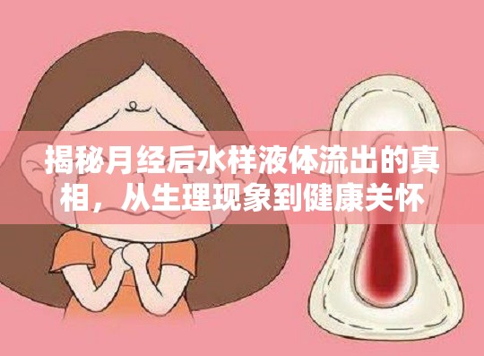 揭秘月經(jīng)后水樣液體流出的真相，從生理現(xiàn)象到健康關(guān)懷