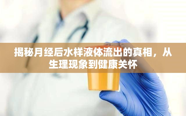 揭秘月經(jīng)后水樣液體流出的真相，從生理現(xiàn)象到健康關(guān)懷