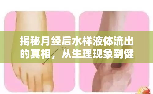 揭秘月經(jīng)后水樣液體流出的真相，從生理現(xiàn)象到健康關(guān)懷