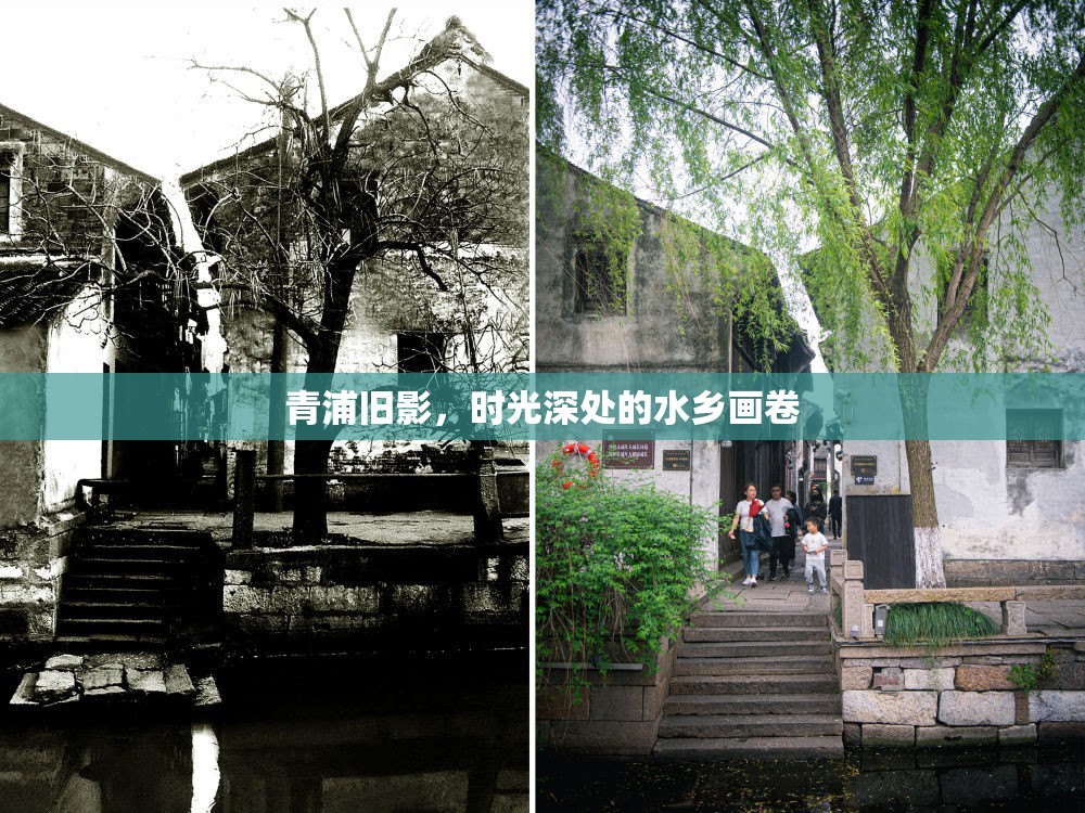 青浦舊影，時(shí)光深處的水鄉(xiāng)畫卷