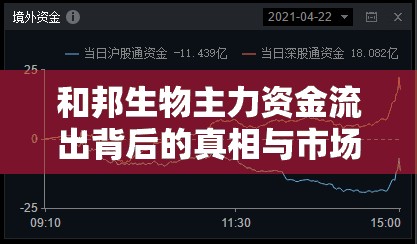 和邦生物主力資金流出背后的真相與市場影響
