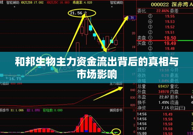 和邦生物主力資金流出背后的真相與市場影響