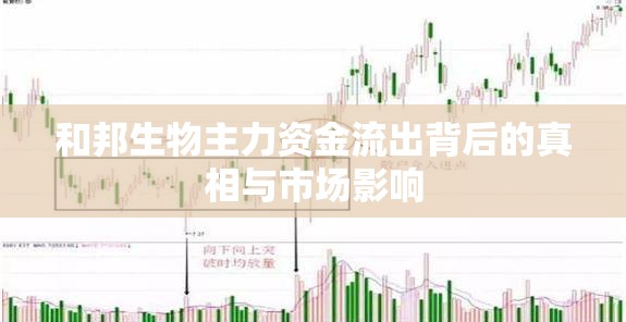 和邦生物主力資金流出背后的真相與市場影響