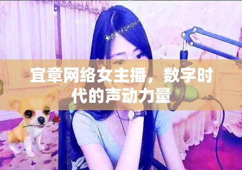 宜章網(wǎng)絡(luò)女主播，數(shù)字時代的聲動力量