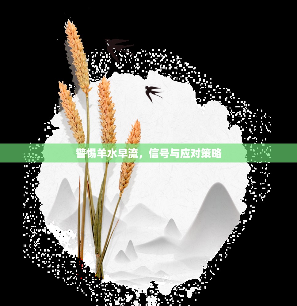 警惕羊水早流，信號(hào)與應(yīng)對(duì)策略