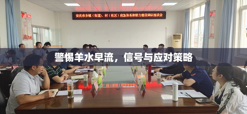 警惕羊水早流，信號(hào)與應(yīng)對(duì)策略