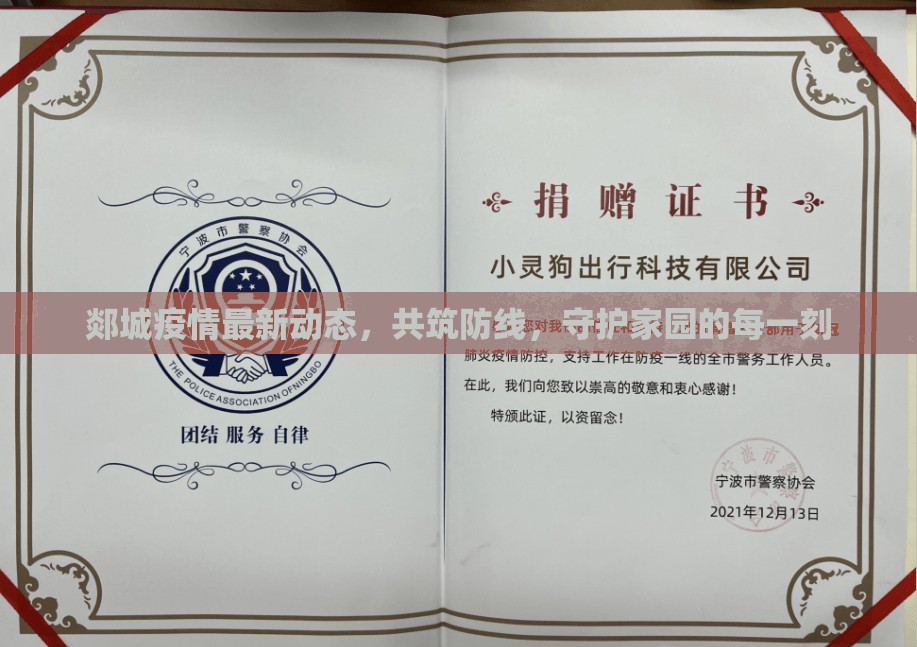 郯城疫情最新動態(tài)，共筑防線，守護家園的每一刻