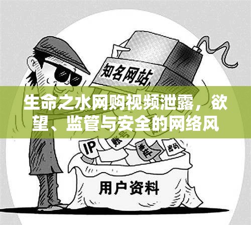 生命之水網(wǎng)購視頻泄露，欲望、監(jiān)管與安全的網(wǎng)絡(luò)風(fēng)暴