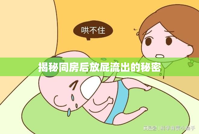揭秘同房后放屁流出的秘密