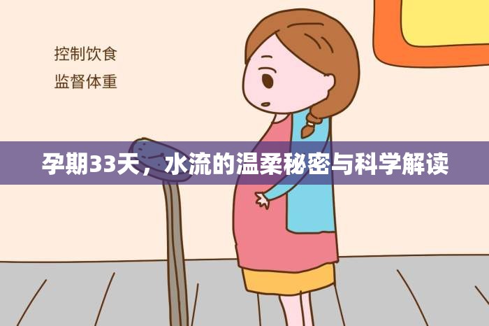 孕期33天，水流的溫柔秘密與科學(xué)解讀
