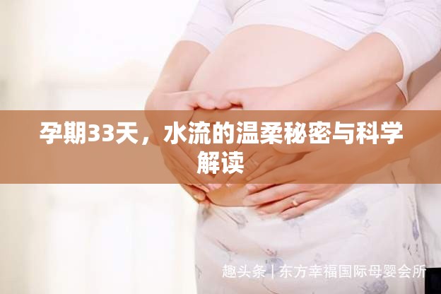 孕期33天，水流的溫柔秘密與科學(xué)解讀