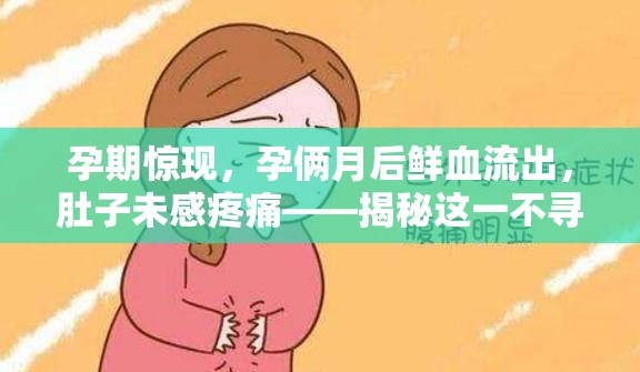 孕期驚現(xiàn)，孕倆月后鮮血流出，肚子未感疼痛——揭秘這一不尋常的孕期信號