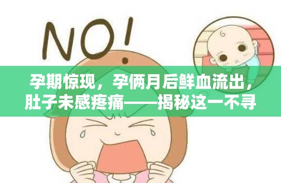 孕期驚現(xiàn)，孕倆月后鮮血流出，肚子未感疼痛——揭秘這一不尋常的孕期信號