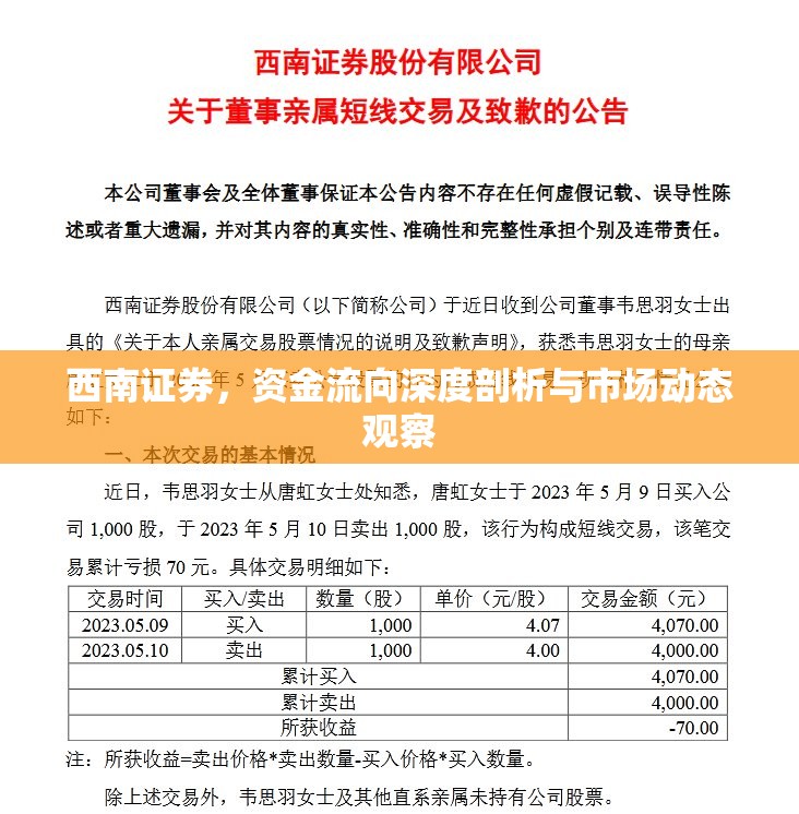 西南證券，資金流向深度剖析與市場(chǎng)動(dòng)態(tài)觀察
