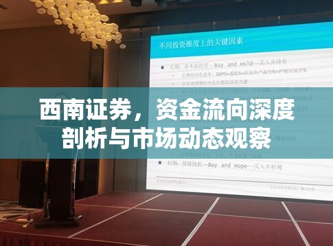 西南證券，資金流向深度剖析與市場(chǎng)動(dòng)態(tài)觀察