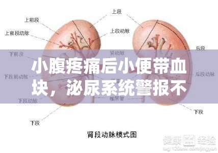 小腹疼痛后小便帶血塊，泌尿系統(tǒng)警報(bào)不容忽視