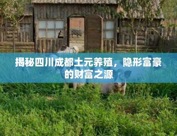 揭秘四川成都土元養(yǎng)殖，隱形富豪的財富之源