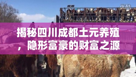 揭秘四川成都土元養(yǎng)殖，隱形富豪的財富之源