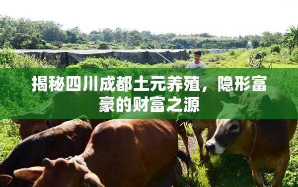 揭秘四川成都土元養(yǎng)殖，隱形富豪的財富之源