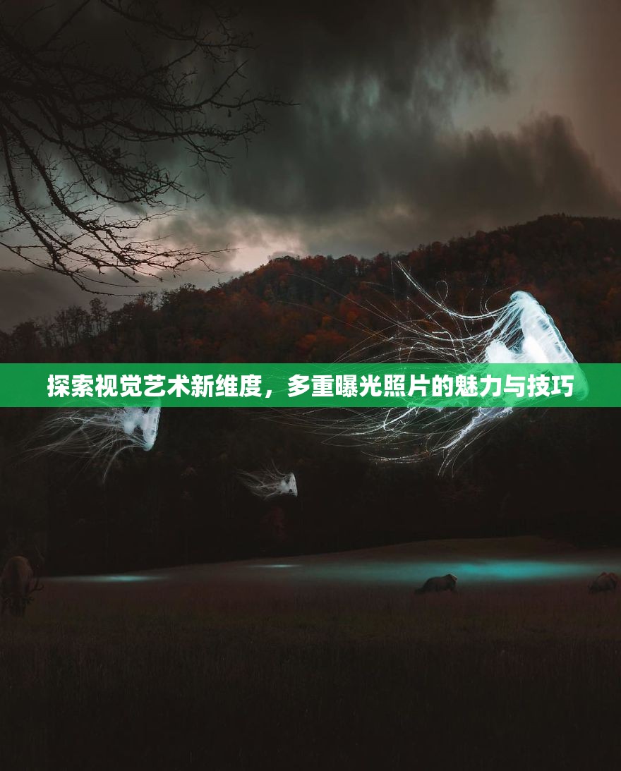探索視覺藝術(shù)新維度，多重曝光照片的魅力與技巧
