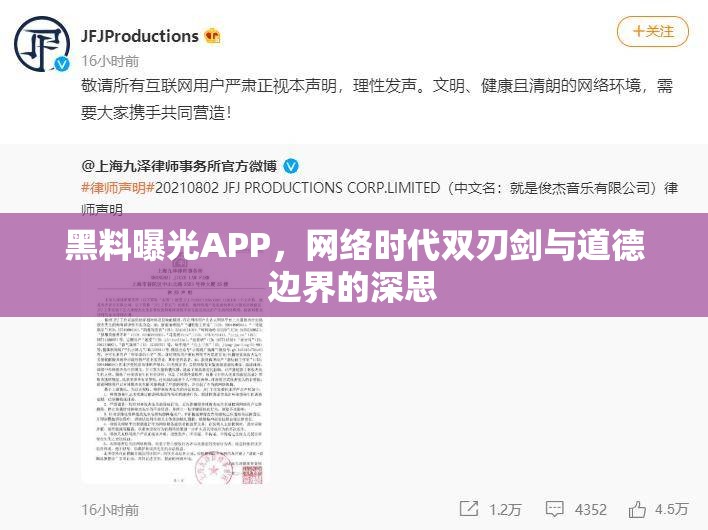黑料曝光APP，網絡時代雙刃劍與道德邊界的深思
