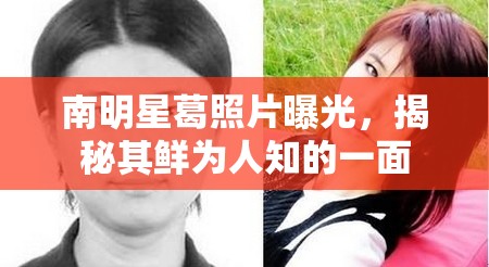 南明星葛照片曝光，揭秘其鮮為人知的一面